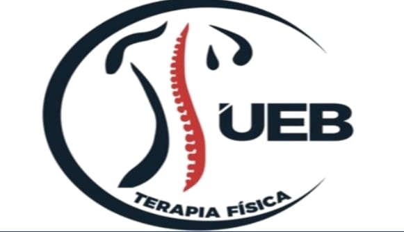 Imagen del Curso